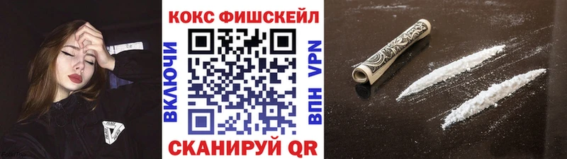где купить наркоту  Дзержинск  Cocaine FishScale 