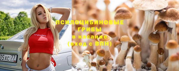 таблы Алзамай